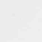 pimientos de piquillo rellenos de carne