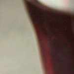 Rollos de ensalada de atún