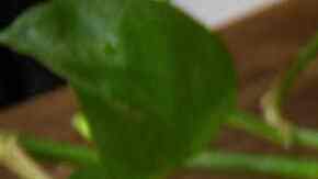 pastel de almendras y chocolate keto