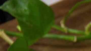 pastel de almendras y chocolate keto