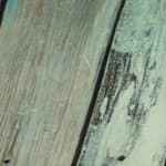 Seco de pato peruano