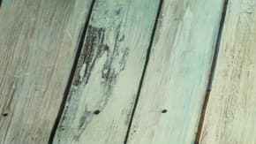 Seco de pato peruano