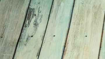 Seco de pato peruano