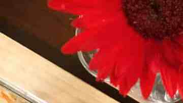 Pupusas de chicharrón