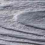 arroz chaufa de pollo