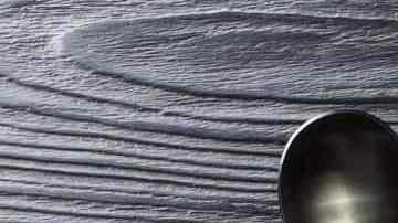 arroz chaufa de pollo