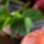 bizcocho vegano de manzana