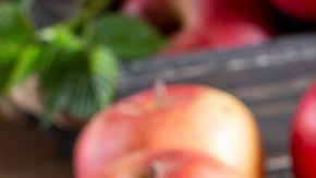 bizcocho vegano de manzana