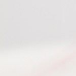 bizcocho vegano de zanahoria