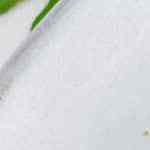 dos deliciosas tostas con revoltillo y champiñones