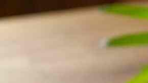 tostadas de pollo con salsa de cilantro