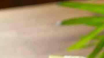 tostadas de pollo con salsa de cilantro