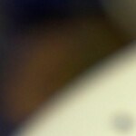 Carpaccio de salmón con salsa de mango y batata frita