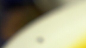 Carpaccio de salmón con salsa de mango y batata frita