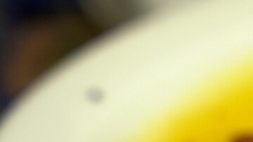 Carpaccio de salmón con salsa de mango y batata frita