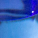 Crepas de espinacas con tomate y queso