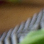 camarones al limón y ajo