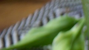 camarones al limón y ajo