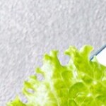 Ceviche de concha ecuatoriano