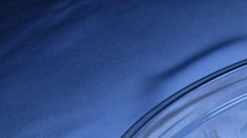 Ensalada de coditos con pollo y jamón