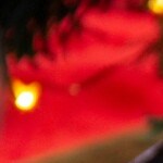 chimichangas de pollo y res