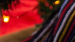 chimichangas de pollo y res