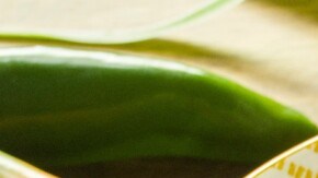 Chiles jalapeños con queso crema envueltos en tocino