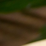 Pay de plátano con cajeta