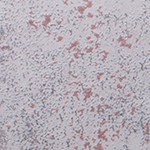 plato de calamares salteados con cebolla