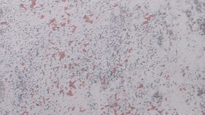 plato de calamares salteados con cebolla