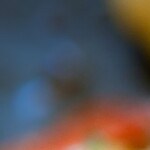 camarones salteados con mantequilla y ajo