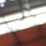 papas fritas trufadas