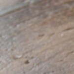 crema de col lombarda