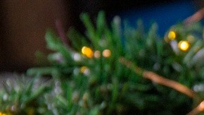 Rollito de jamón y queso