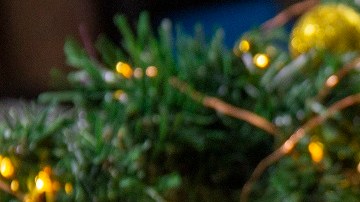 Rollito de jamón y queso