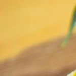 setas a la vizcaína