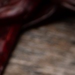 enchiladas potosinas