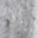 catalinas venezolanas