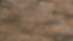 torta guanábana venezolana