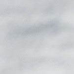 menestra de lentejas