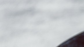 menestra de lentejas