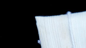 Cachapa de hoja venezolana