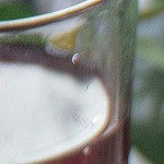 sopa de queso cheddar y brócoli