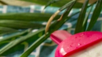 paletas de yogurt con frutas y avena