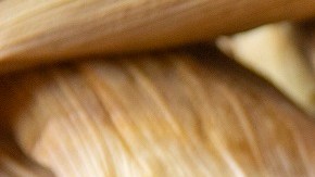 Tamales de chorizo y queso