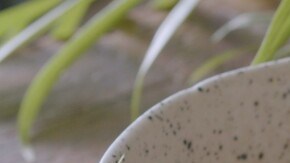 ensalada de pollo al ajillo con membrillo