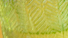 Ensalada de camarones, aguacate y lechuga