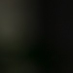 hamburguesa de pollo picante