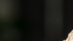 hamburguesa de pollo picante