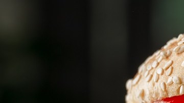 hamburguesa de pollo picante